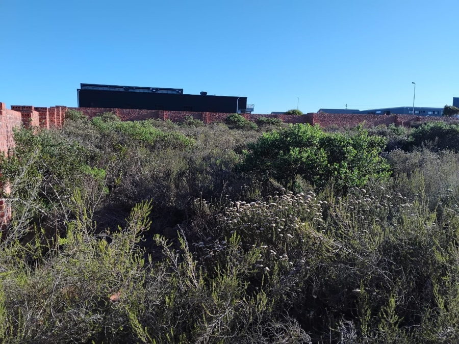 0 Bedroom Property for Sale in Fountains Estate Eastern Cape